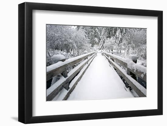 Footbridge Covered in Snow, Silver Falls State Park, Oregon, USA-Craig Tuttle-Framed Photographic Print