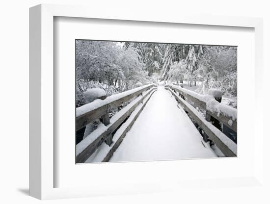 Footbridge Covered in Snow, Silver Falls State Park, Oregon, USA-Craig Tuttle-Framed Photographic Print