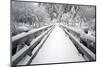 Footbridge Covered in Snow, Silver Falls State Park, Oregon, USA-Craig Tuttle-Mounted Photographic Print