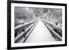 Footbridge Covered in Snow, Silver Falls State Park, Oregon, USA-Craig Tuttle-Framed Photographic Print