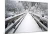 Footbridge Covered in Snow, Silver Falls State Park, Oregon, USA-Craig Tuttle-Mounted Photographic Print