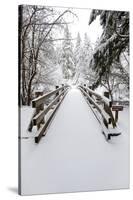Footbridge Covered in Snow, Silver Falls State Park, Oregon, USA-Craig Tuttle-Stretched Canvas