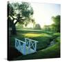 Footbridge in a Golf Course, Inverness Golf Course, Palatine, Cook County, Illinois, USA-null-Stretched Canvas