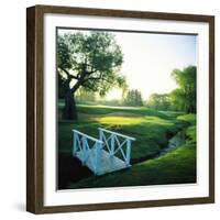 Footbridge in a Golf Course, Inverness Golf Course, Palatine, Cook County, Illinois, USA-null-Framed Photographic Print