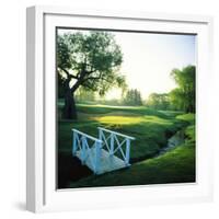 Footbridge in a Golf Course, Inverness Golf Course, Palatine, Cook County, Illinois, USA-null-Framed Photographic Print