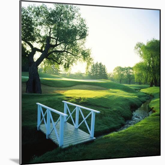 Footbridge in a Golf Course, Inverness Golf Course, Palatine, Cook County, Illinois, USA-null-Mounted Photographic Print