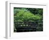 Footbridge in Japanese Garden, Portland, Oregon, USA-Adam Jones-Framed Photographic Print