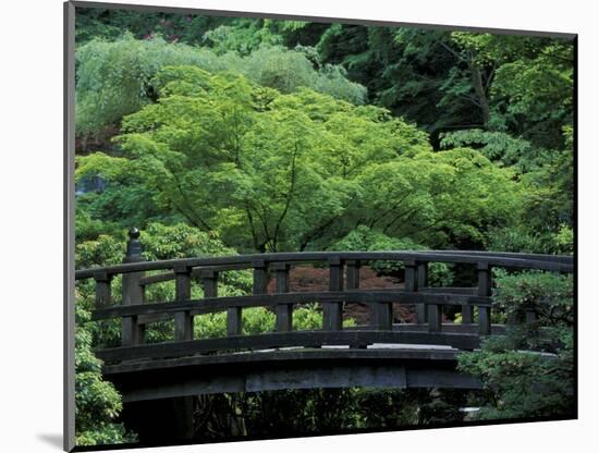 Footbridge in Japanese Garden, Portland, Oregon, USA-Adam Jones-Mounted Photographic Print