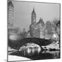 Footbridge in Snowy Central Park-null-Mounted Premium Photographic Print