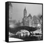 Footbridge in Snowy Central Park-null-Framed Stretched Canvas