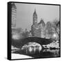 Footbridge in Snowy Central Park-null-Framed Stretched Canvas