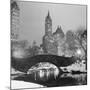 Footbridge in Snowy Central Park-null-Mounted Photographic Print