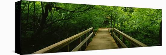 Footbridge in the Forest, Grove of the Patriarchs, Mt. Rainier National Park, Washington State, USA-null-Stretched Canvas