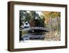 Footbridge Of Somesville, Maine-George Oze-Framed Photographic Print