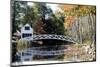 Footbridge Of Somesville, Maine-George Oze-Mounted Photographic Print