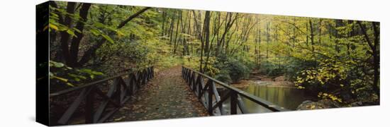 Footbridge Over a Pond in a Forest, Cucumber Run, Ohiopyle State Park, Pennsylvania, USA-null-Stretched Canvas