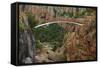 Footbridge over Blyde River, Blyde River Canyon Reserve, South Africa-David Wall-Framed Stretched Canvas