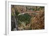 Footbridge over Blyde River, Blyde River Canyon Reserve, South Africa-David Wall-Framed Photographic Print