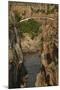 Footbridge over Blyde River, Blyde River Canyon Reserve, South Africa-David Wall-Mounted Photographic Print