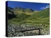 Footbridge over Oxendale Beck Near Crinkle Crags, Lake District National Park, Cumbria, England, UK-Maxwell Duncan-Stretched Canvas