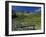 Footbridge over Oxendale Beck Near Crinkle Crags, Lake District National Park, Cumbria, England, UK-Maxwell Duncan-Framed Photographic Print