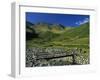 Footbridge over Oxendale Beck Near Crinkle Crags, Lake District National Park, Cumbria, England, UK-Maxwell Duncan-Framed Photographic Print