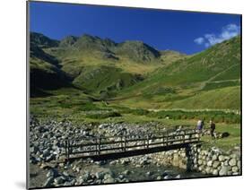 Footbridge over Oxendale Beck Near Crinkle Crags, Lake District National Park, Cumbria, England, UK-Maxwell Duncan-Mounted Photographic Print