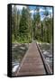 Footbridge over String Lake, Grand Tetons National Park, Wyoming, USA. (Editorial Use Only)-Roddy Scheer-Framed Stretched Canvas