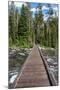 Footbridge over String Lake, Grand Tetons National Park, Wyoming, USA. (Editorial Use Only)-Roddy Scheer-Mounted Photographic Print