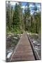 Footbridge over String Lake, Grand Tetons National Park, Wyoming, USA. (Editorial Use Only)-Roddy Scheer-Mounted Photographic Print