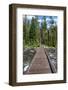 Footbridge over String Lake, Grand Tetons National Park, Wyoming, USA. (Editorial Use Only)-Roddy Scheer-Framed Photographic Print