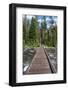 Footbridge over String Lake, Grand Tetons National Park, Wyoming, USA. (Editorial Use Only)-Roddy Scheer-Framed Photographic Print