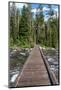 Footbridge over String Lake, Grand Tetons National Park, Wyoming, USA. (Editorial Use Only)-Roddy Scheer-Mounted Photographic Print