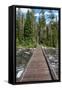 Footbridge over String Lake, Grand Tetons National Park, Wyoming, USA. (Editorial Use Only)-Roddy Scheer-Framed Stretched Canvas