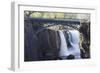 Footbridge Over The Great Falls, Paterson, NJ-George Oze-Framed Photographic Print