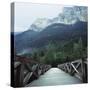 Footbridge Spanning the Base of a Valley-null-Stretched Canvas