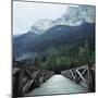 Footbridge Spanning the Base of a Valley-null-Mounted Photographic Print