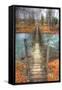 Footbridge Vertical-Robert Goldwitz-Framed Stretched Canvas