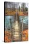 Footbridge Vertical-Robert Goldwitz-Stretched Canvas