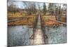 Footbridge-Robert Goldwitz-Mounted Photographic Print