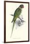 Footed Parakeet - Psittacula Eupatria-Edward Lear-Framed Art Print