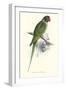 Footed Parakeet - Psittacula Eupatria-Edward Lear-Framed Art Print