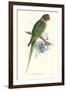 Footed Parakeet - Psittacula Eupatria-Edward Lear-Framed Art Print