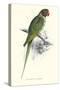 Footed Parakeet - Psittacula Eupatria-Edward Lear-Stretched Canvas