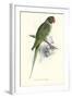 Footed Parakeet - Psittacula Eupatria-Edward Lear-Framed Art Print