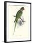 Footed Parakeet - Psittacula Eupatria-Edward Lear-Framed Art Print