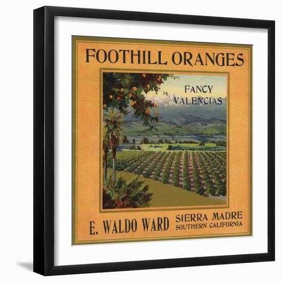 Foothill Oranges Brand - Sierra Madre, California - Citrus Crate Label-Lantern Press-Framed Art Print