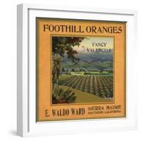 Foothill Oranges Brand - Sierra Madre, California - Citrus Crate Label-Lantern Press-Framed Art Print