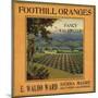 Foothill Oranges Brand - Sierra Madre, California - Citrus Crate Label-Lantern Press-Mounted Art Print
