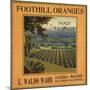 Foothill Oranges Brand - Sierra Madre, California - Citrus Crate Label-Lantern Press-Mounted Art Print